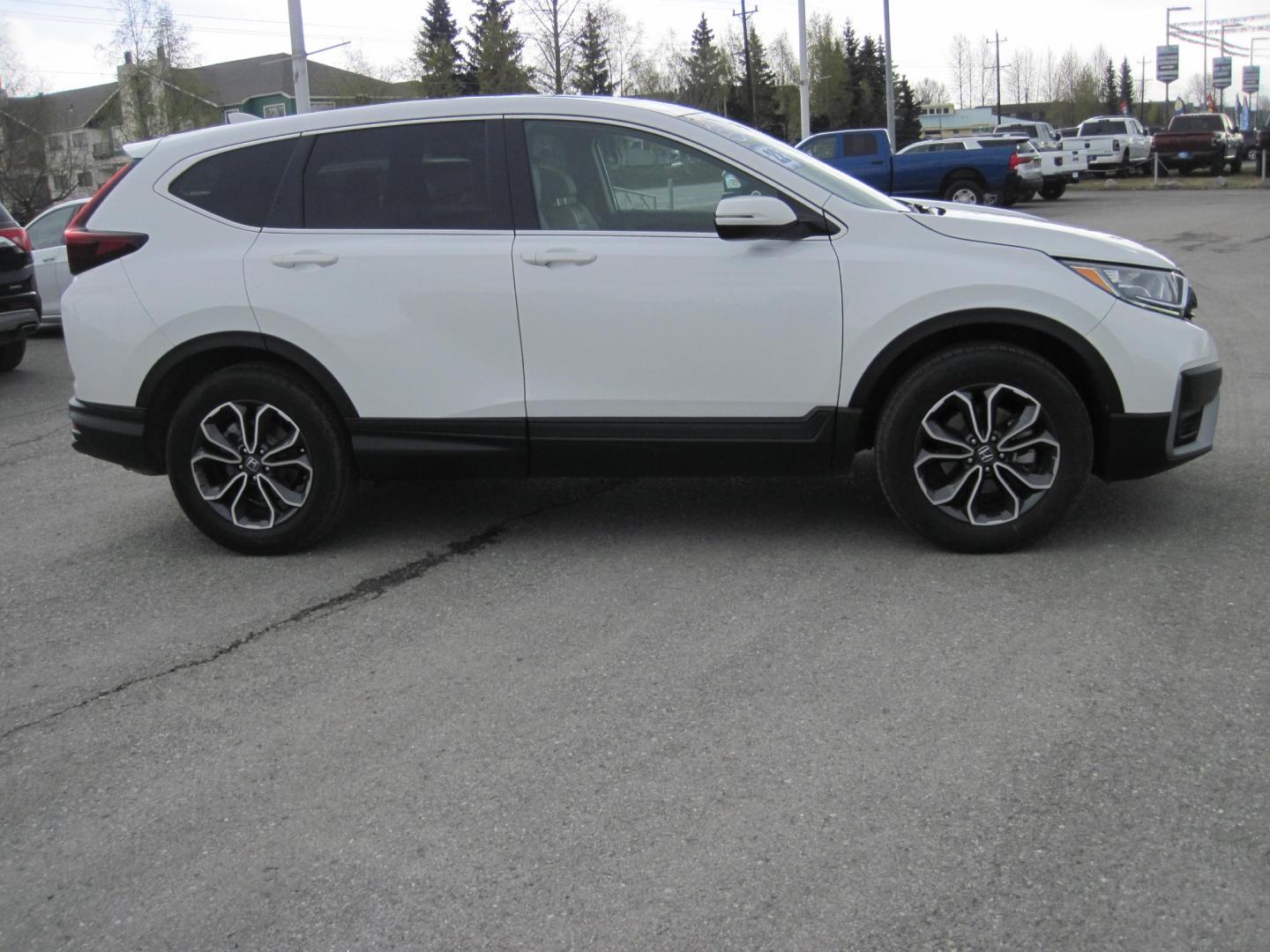 2022 white /Tan Honda CR-V EX-L AWD (2HKRW2H8XNH) , automatic transmission, located at 9530 Old Seward Highway, Anchorage, AK, 99515, (907) 349-3343, 61.134140, -149.865570 - Photo#2